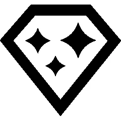 Steinschlag Reparatur